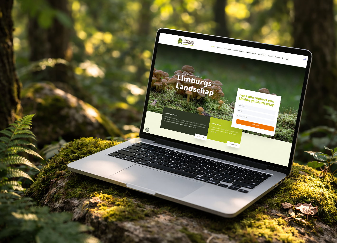 laptop website